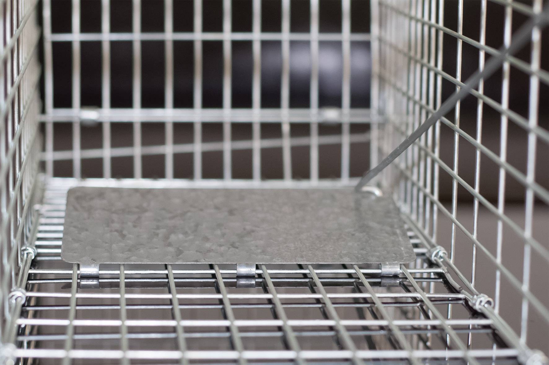 Gardigo Marder-Lebendfalle Käfig Lebendfalle Funktionsart Mobil 1St.