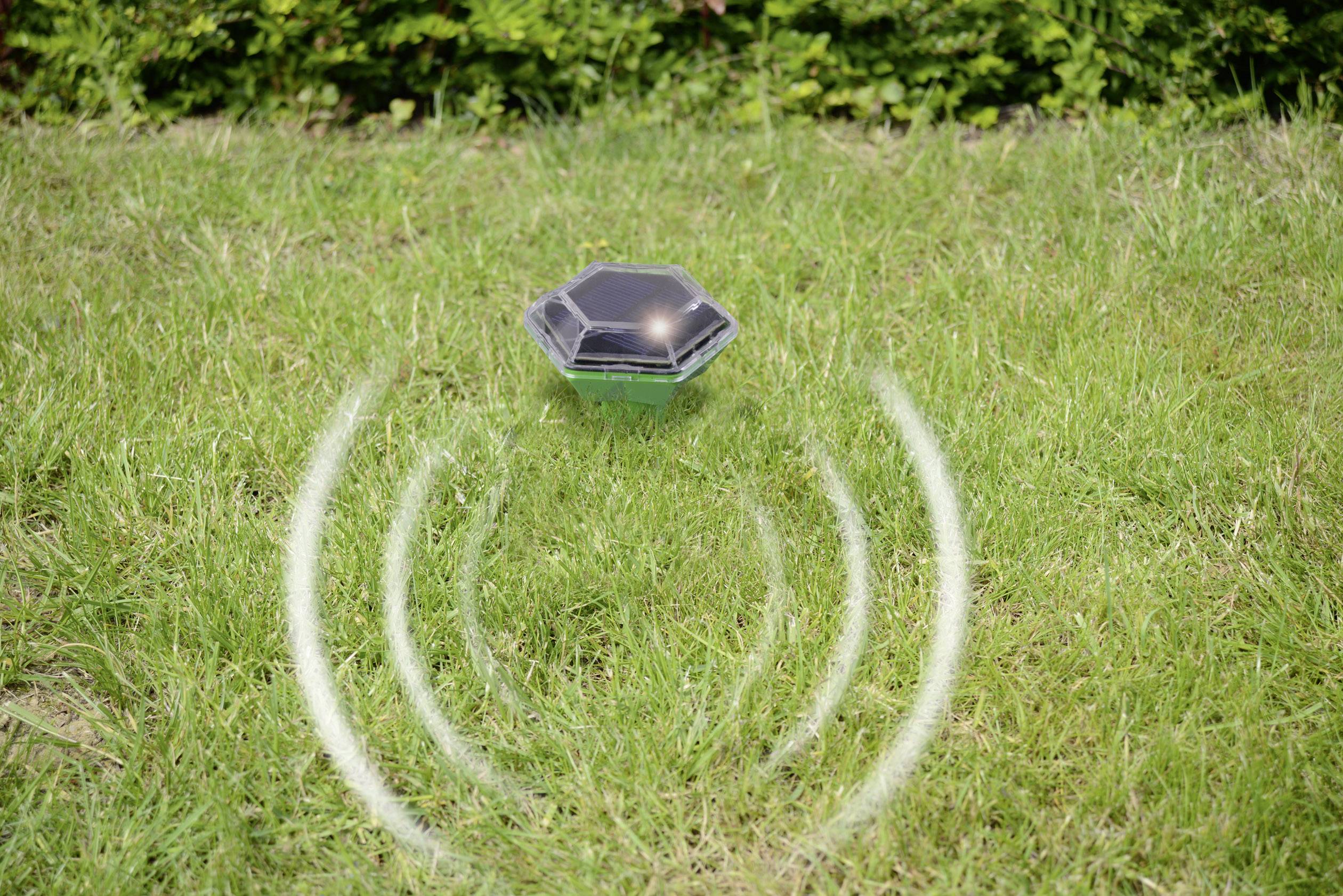 Gardigo Diamant Wühlmausvertreiber Funktionsart Vibration Wirkungsbereich 700m² 1St.