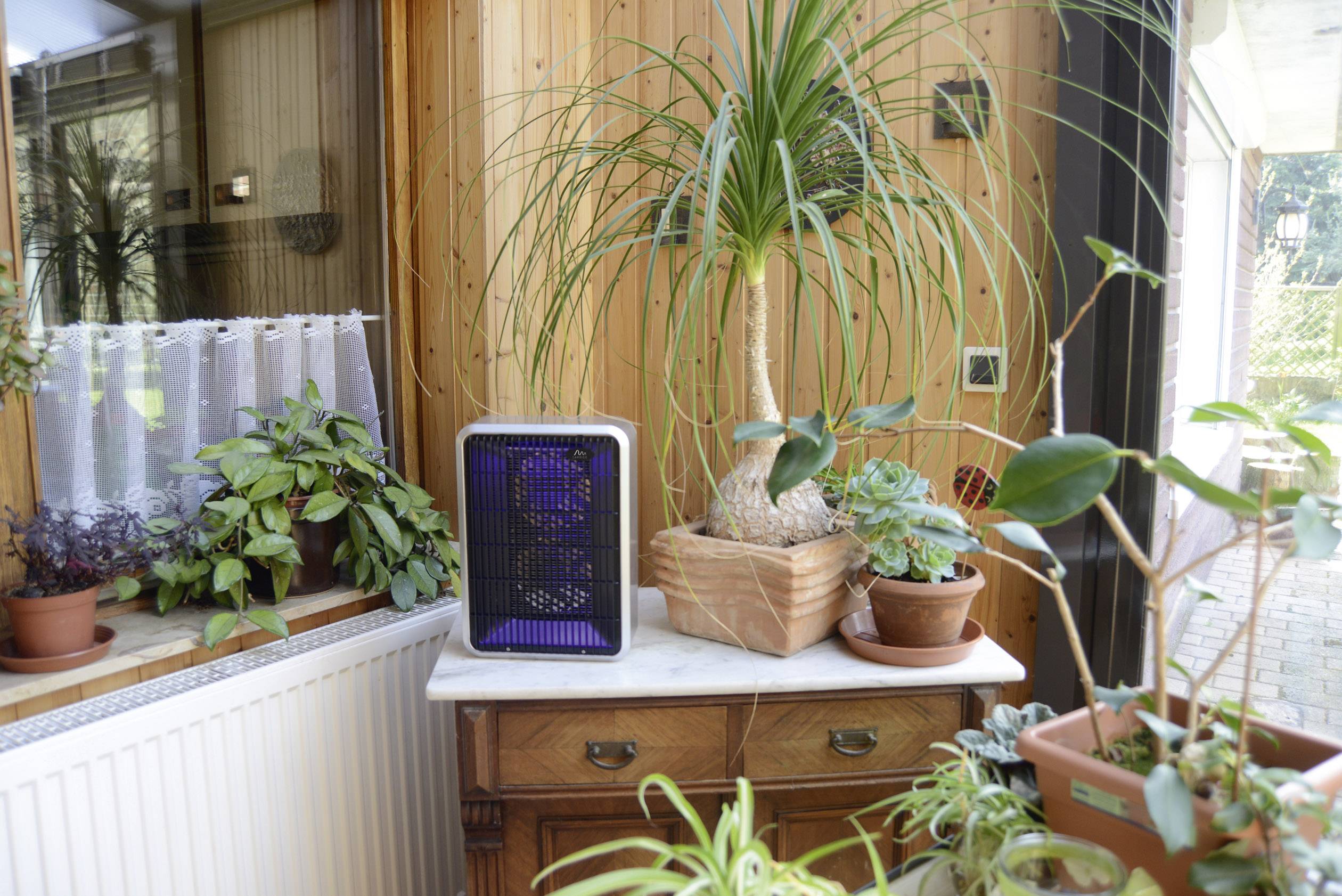 Gardigo Fan Duo 62450 UV-Insektenfänger UV-Licht, Stromgitter (B x H x T) 245 x 380 x 105 mm Schwarz, Silber 1 St.