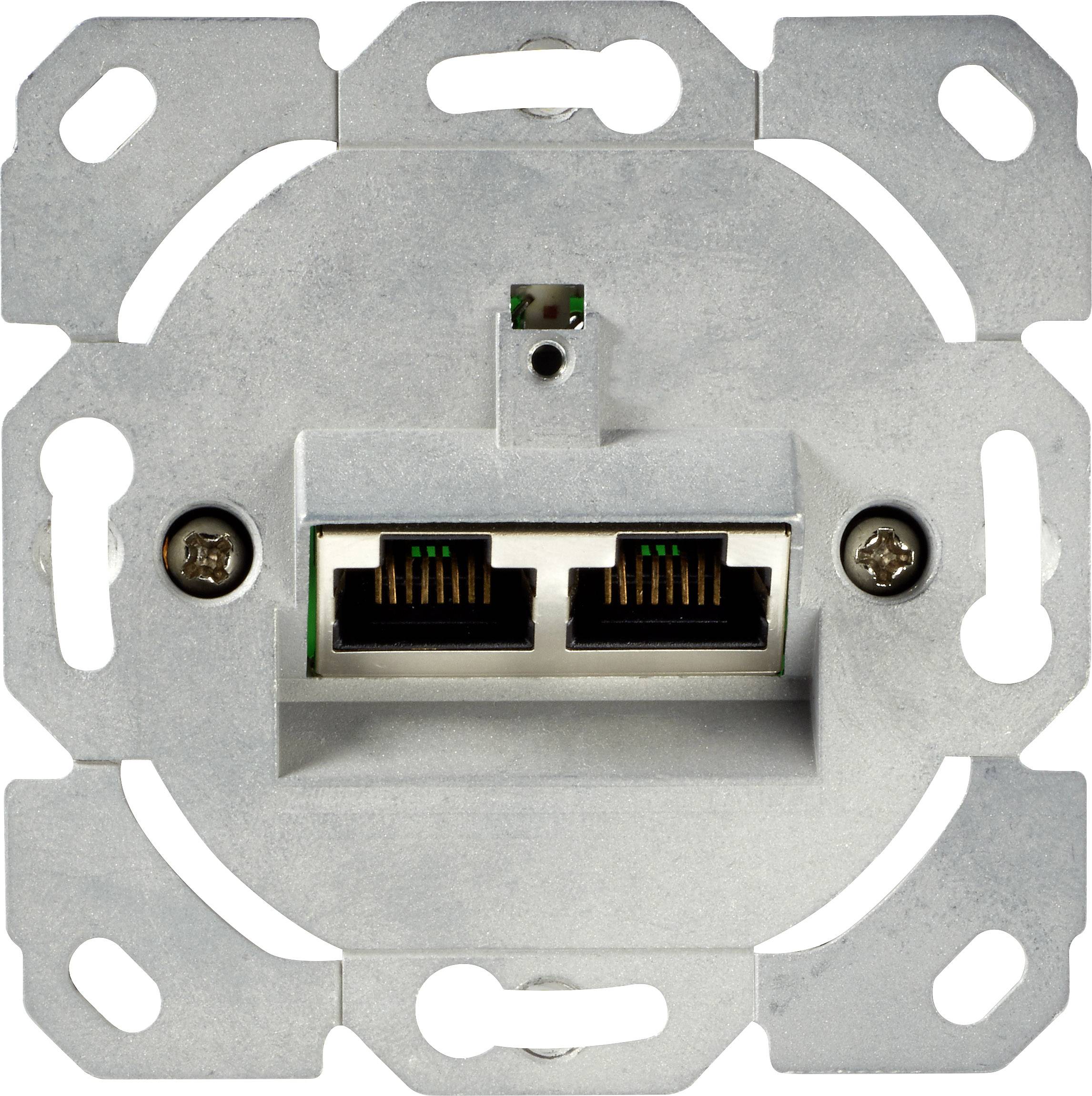 Eine Netzwerkdose mit zwei Ethernet-Anschlüssen, die in eine Wandmontageplatte integriert ist, dargestellt vor weißem Hintergrund.