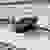 FISCHER FAHRRAD Lastenträger CrossLine XL 1,31m 126003 (L x B x H) 134 x 15 x 10cm