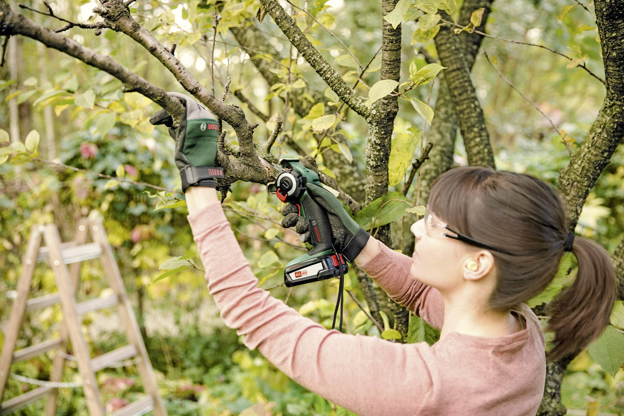 Eine Frau in einem Garten beschneidet mit einer elektrischen Gartenschere einen Ast. Im Hintergrund ist eine Leiter zu sehen.