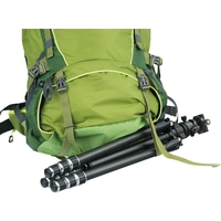 DÖRR Rucksack Outdoor Pro 65 + Pro 15 65l (B x H x T) 350 x 750 x 250mm Grün 464016 DÖRR Rucksack Outdoor Pro 65 + Pro 15 65l (B x H x T) 350 x 750 x 250mm Grün 464016