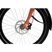 ELBY S1 BionX Silber E-Bike mit Trittantrieb Silber Li-Ion 48V 11.6Ah mit Bluetooth, mit herausnehmbaren Akku ELBY S1 BionX Silber E-Bike mit Trittantrieb Silber Li-Ion 48V 11.6Ah mit Bluetooth, mit herausnehmbaren Akku