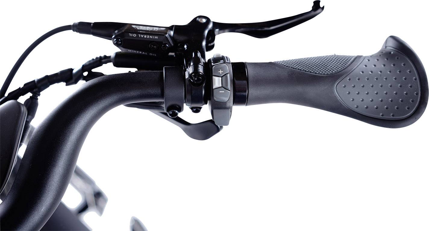 ELBY S1 BionX schwarz E-Bike mit Trittantrieb Schwarz Li-Ion 48V 11.6Ah mit Bluetooth, mit herausnehmbaren Akku