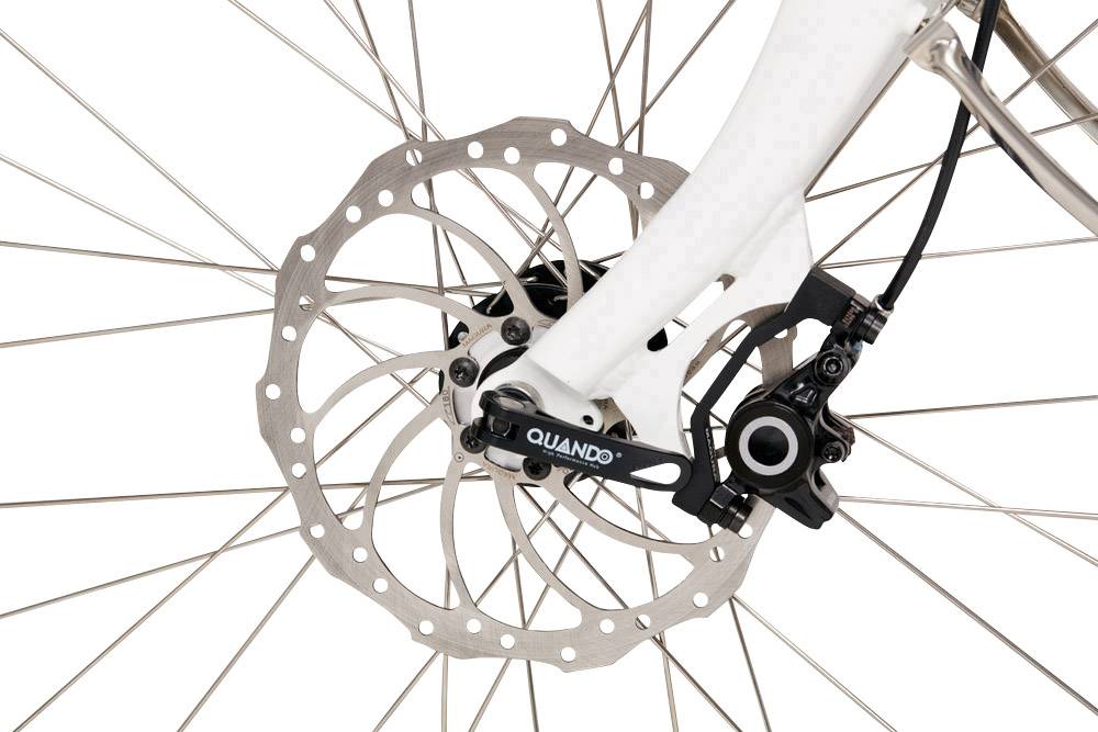 ELBY S1 BionX schwarz E-Bike mit Trittantrieb Schwarz Li-Ion 48V 11.6Ah mit Bluetooth, mit herausnehmbaren Akku