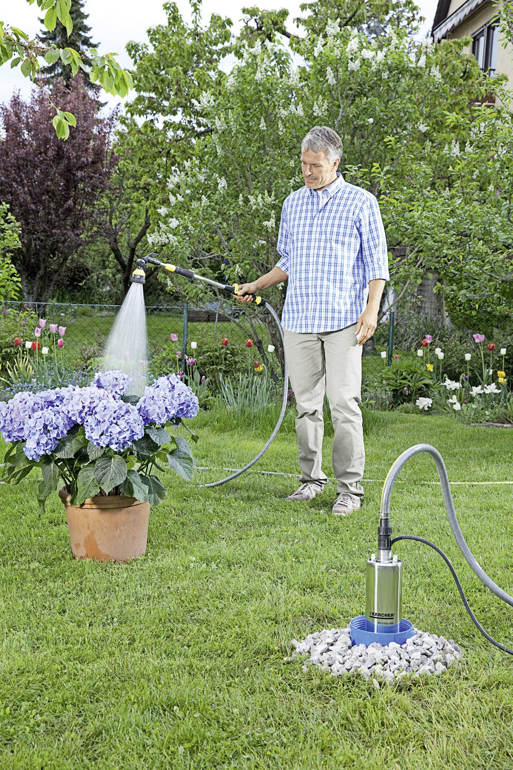 Ein Mann im Garten bewässert Hortensien in einem Blumentopf mit einem Schlauch. Neben ihm steht eine Wasserpumpe auf dem Rasen.