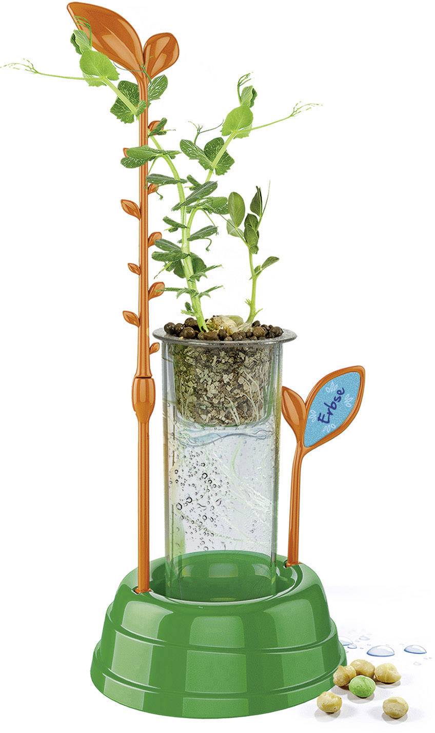 Clementoni 59065.0 Galileo - Hydrokultur-Gewächshaus Biologie Experimentier-Set ab 7 Jahre
