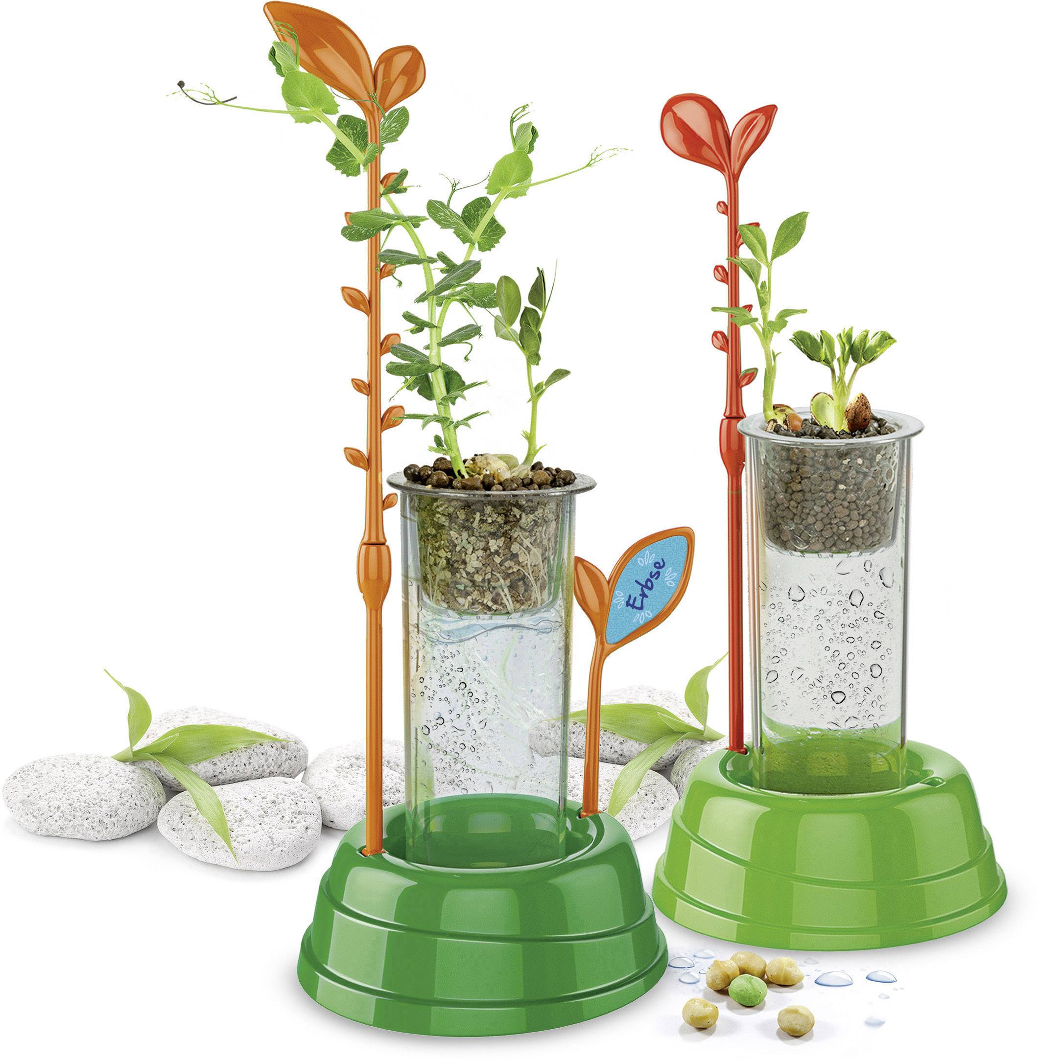Clementoni 59065.0 Galileo - Hydrokultur-Gewächshaus Biologie Experimentier-Set ab 7 Jahre