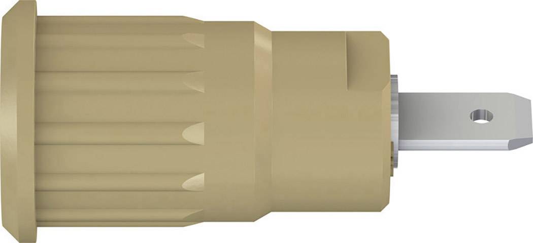 Stäubli SEB4-F/N Sicherheits-Laborbuchse Buchse, Einbau Braun