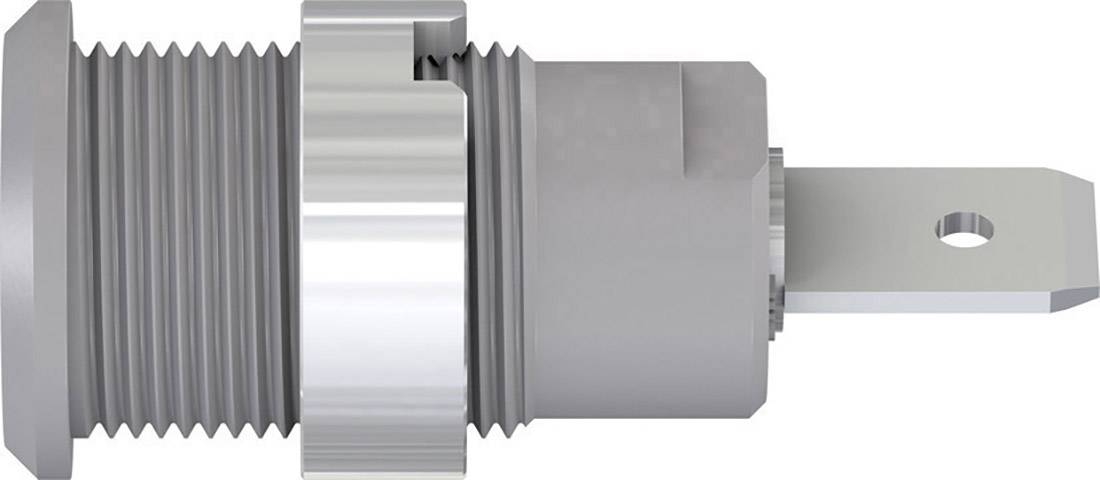 Stäubli SLB4-F6,3/N-X Sicherheits-Laborbuchse Buchse, Einbau Grau