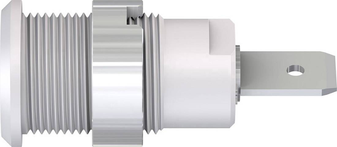 Stäubli SLB4-F6,3/N-X Sicherheits-Laborbuchse Buchse, Einbau Weiß