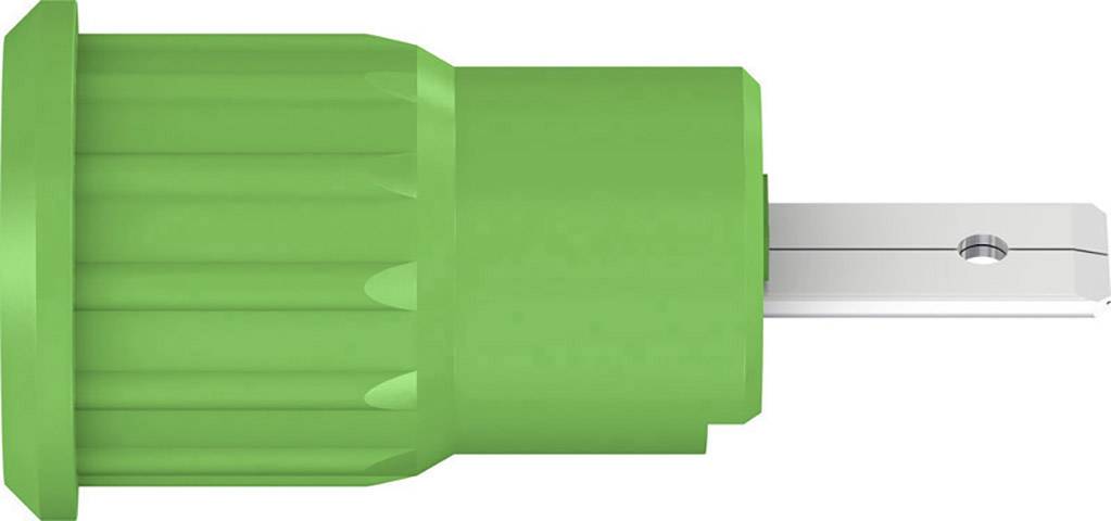 Stäubli SEB4-F/A Sicherheits-Laborbuchse Buchse, Einbau Grün