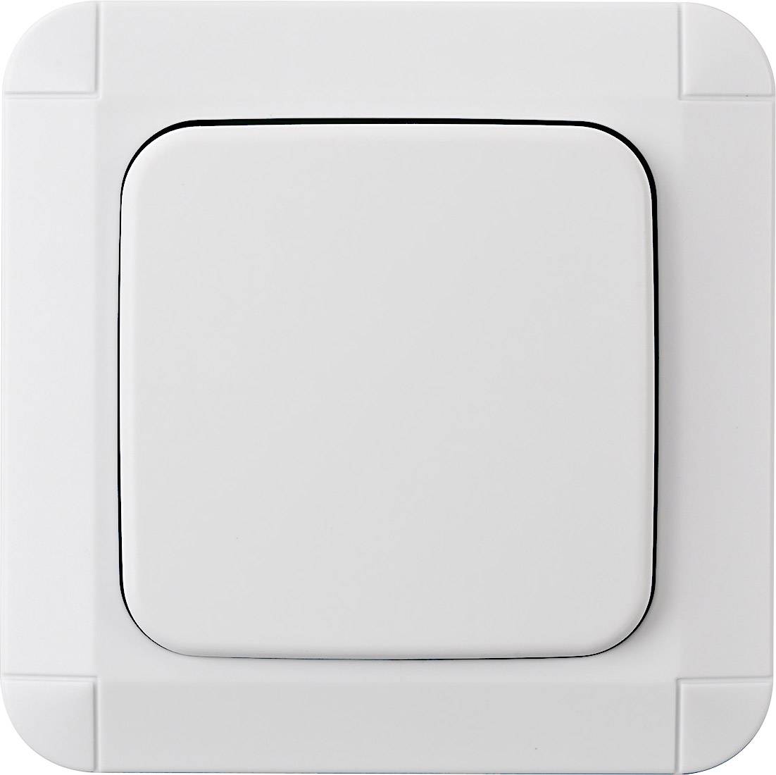 Brennenstuhl BrematicPRO Wandschalter