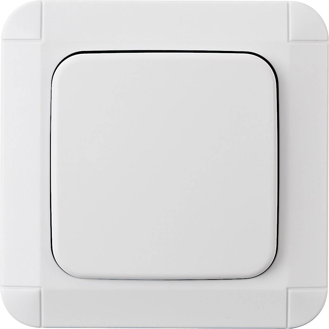 Brennenstuhl BrematicPRO Wandschalter