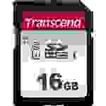 Transcend Premium 300S SDHC-Karte 16 GB Class 10, UHS-I, UHS-Class 1