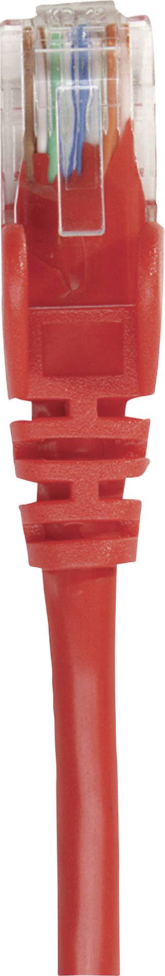 Ein rotes Ethernet-Kabel mit einem transparenten RJ45-Stecker, das für kabelgebundene Netzwerkverbindungen verwendet wird.