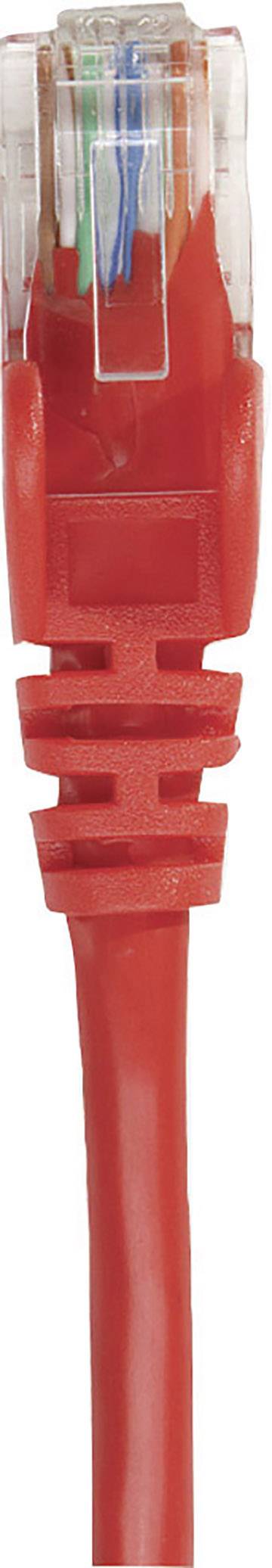 Rotes Ethernet-Kabel mit transparentem Stecker, wird zur Netzwerkverbindung verwendet.