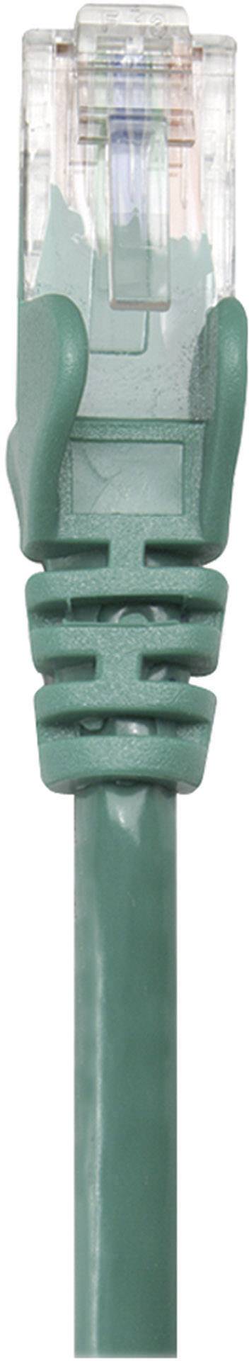 Ein grünes Ethernet-Netzwerkkabel mit einem durchsichtigen RJ45-Stecker, der verwendet wird, um Geräte mit einem Netzwerk zu verbinden.