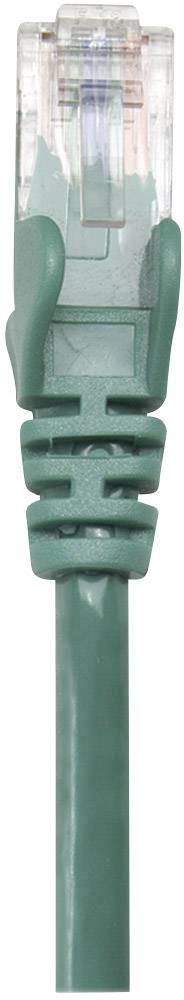 Grünes Ethernet-Kabel mit einem durchsichtigem RJ45-Stecker oben; wird zur Netzwerkverbindung verwendet.