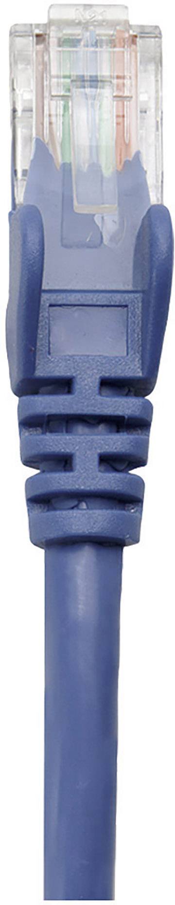 Blauer Ethernet-Kabelstecker aus Kunststoff mit durchsichtiger Oberseite, zeigt geflochtene Kabel im Inneren.