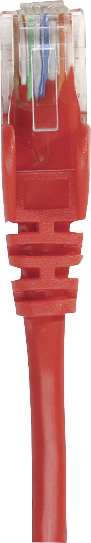 Rotes Ethernet-Kabel mit RJ45-Stecker im Detail, vor weißem Hintergrund.