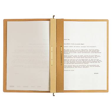 Leitz Hängehefter Alpha DIN A4 Naturbraun 19870000 1 St.