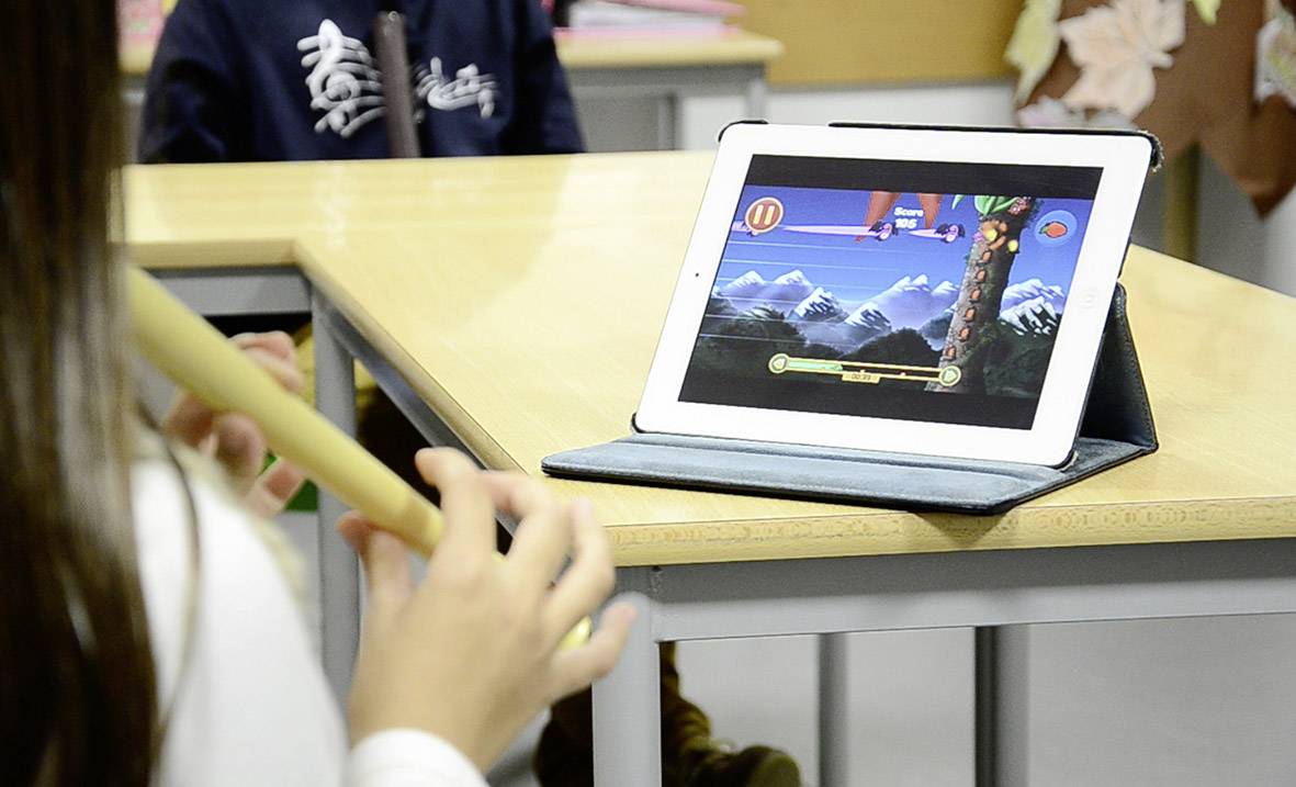 Voggenreiter Blockflöte Flute Master Barock Bergahorn