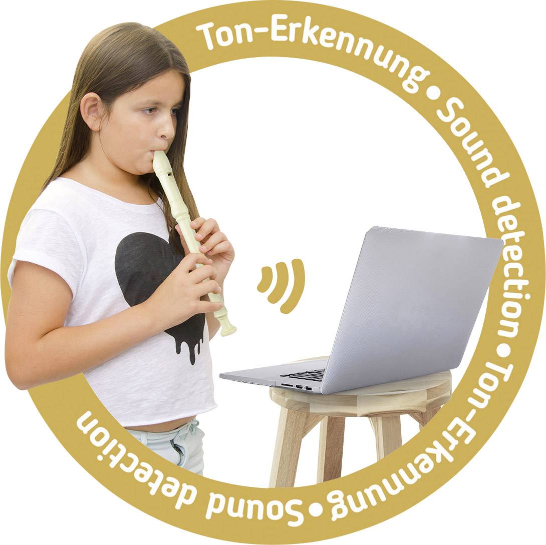 Voggenreiter Blockflöte Flute Master Barock Bergahorn