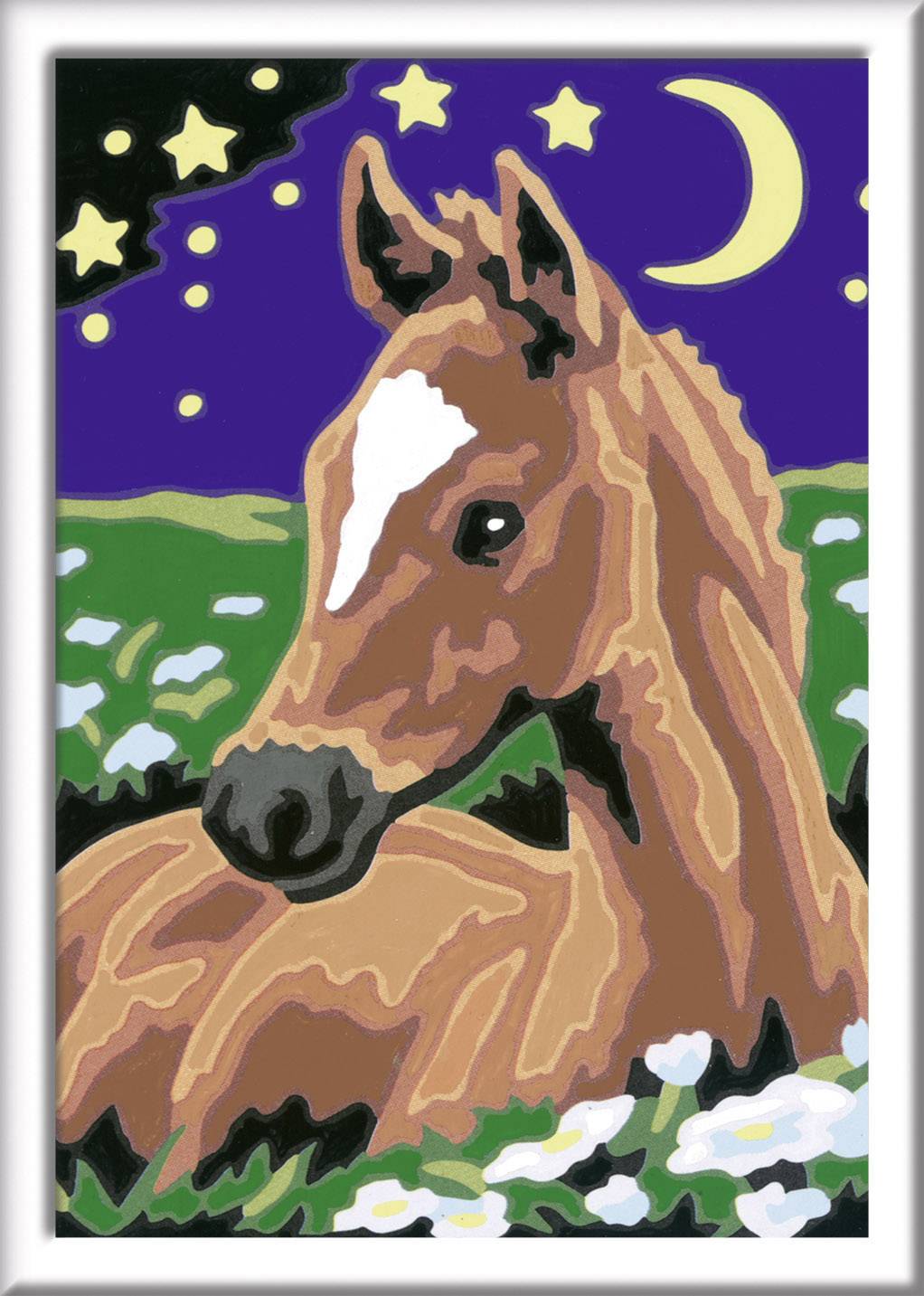 Ravensburger Malen nach Zahlen Atelier Pferde