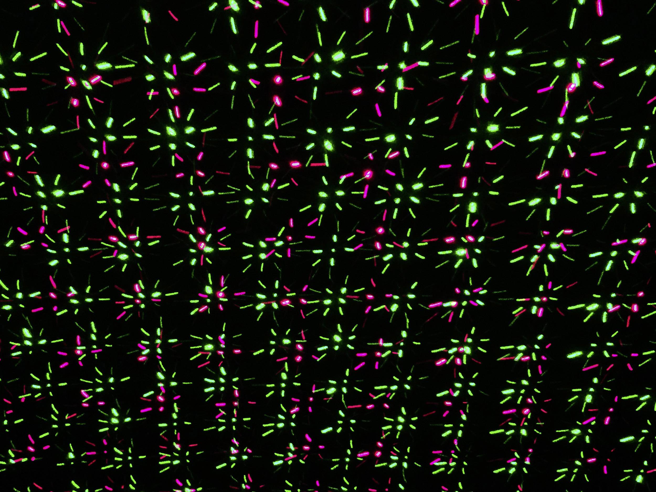 Näve 5200861 Gartenlaser Schwarz