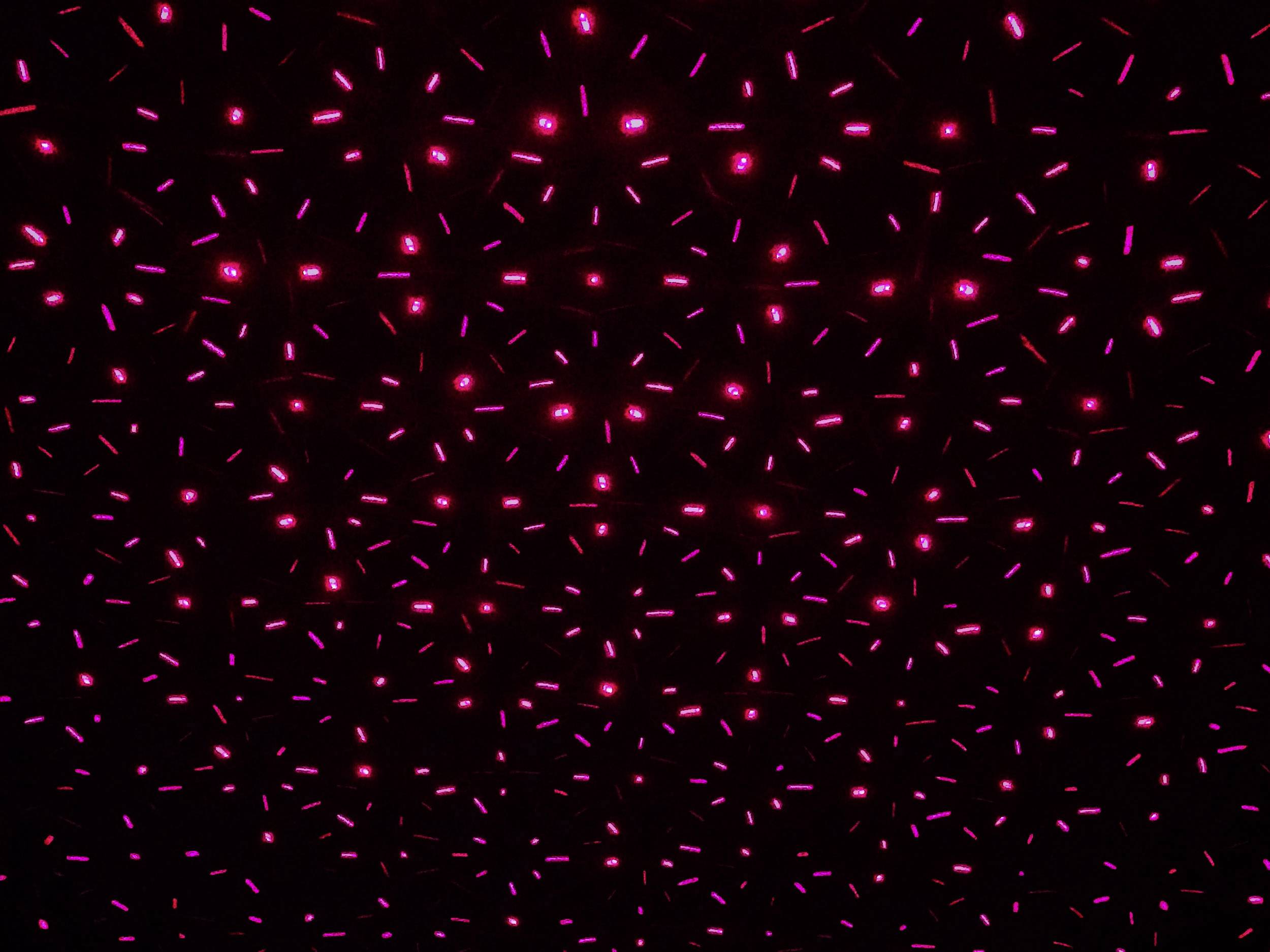 Näve 5200861 Gartenlaser Schwarz