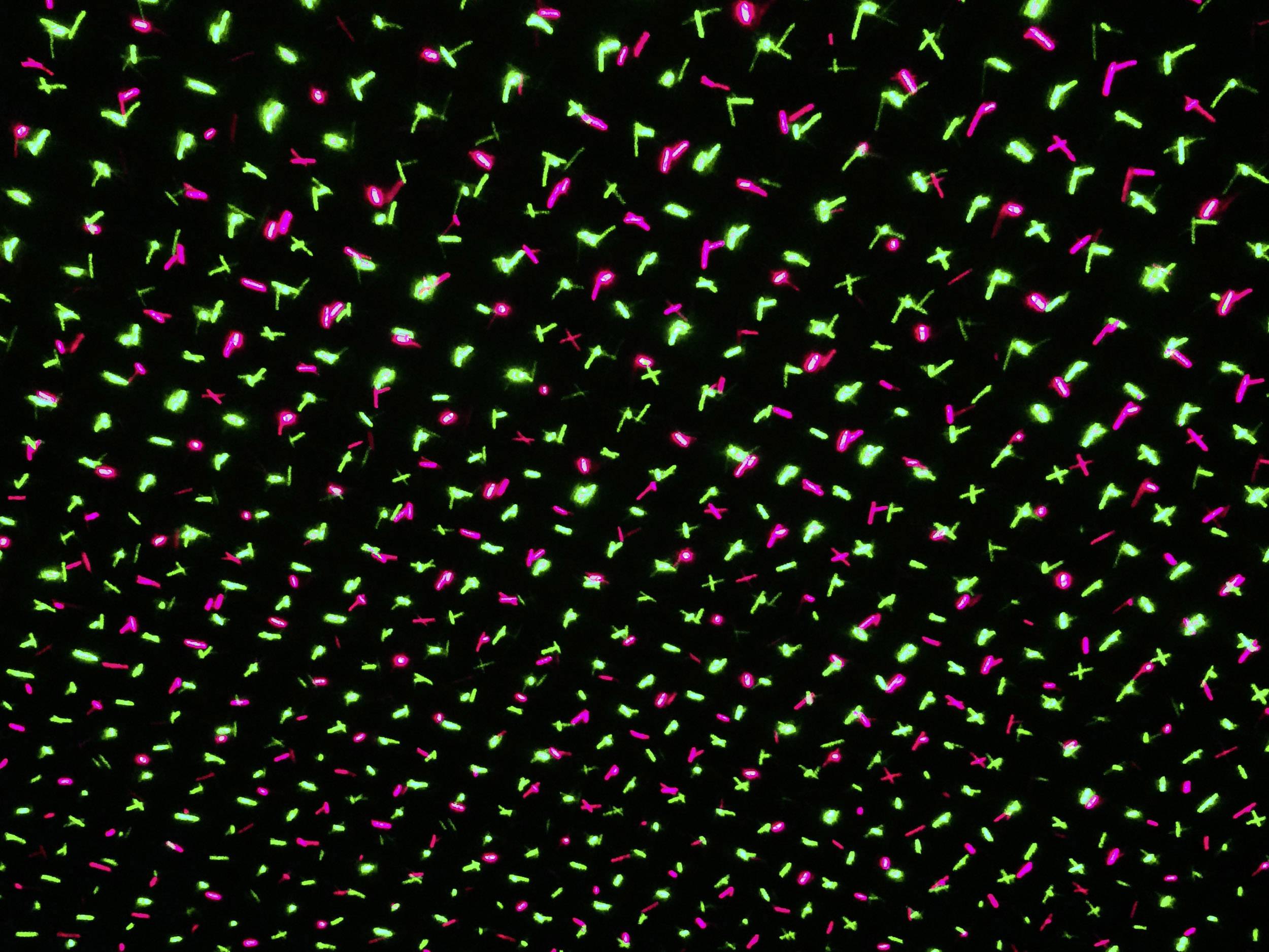 Näve 5200861 Gartenlaser Schwarz