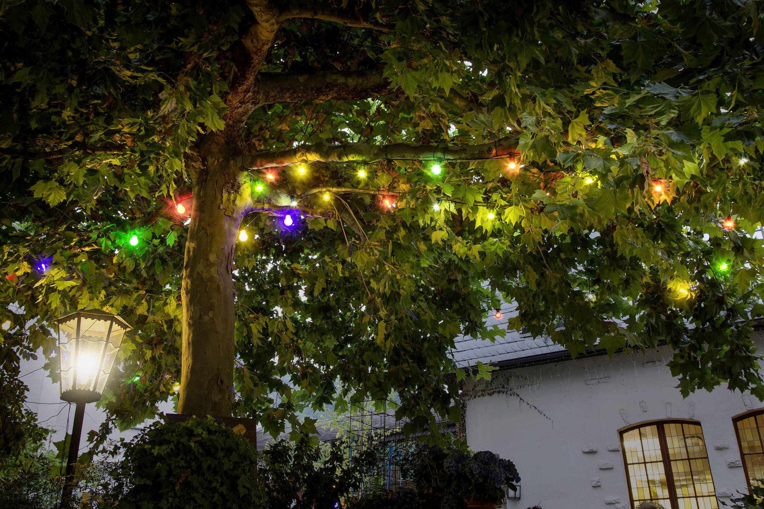 Konstsmide LED Lichterketten-System-Basis 230 V/50 Hz Lichterkette Warmweiß