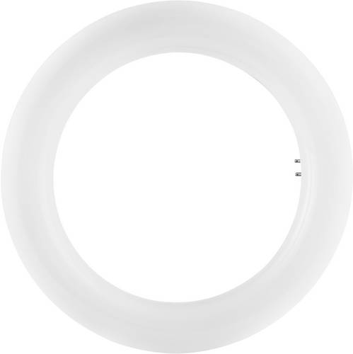 OSRAM LED EEK A+ (A++ - E) G10q Ringform 12W Kaltweiß (Ø x L) 30mm x 205mm 1St.