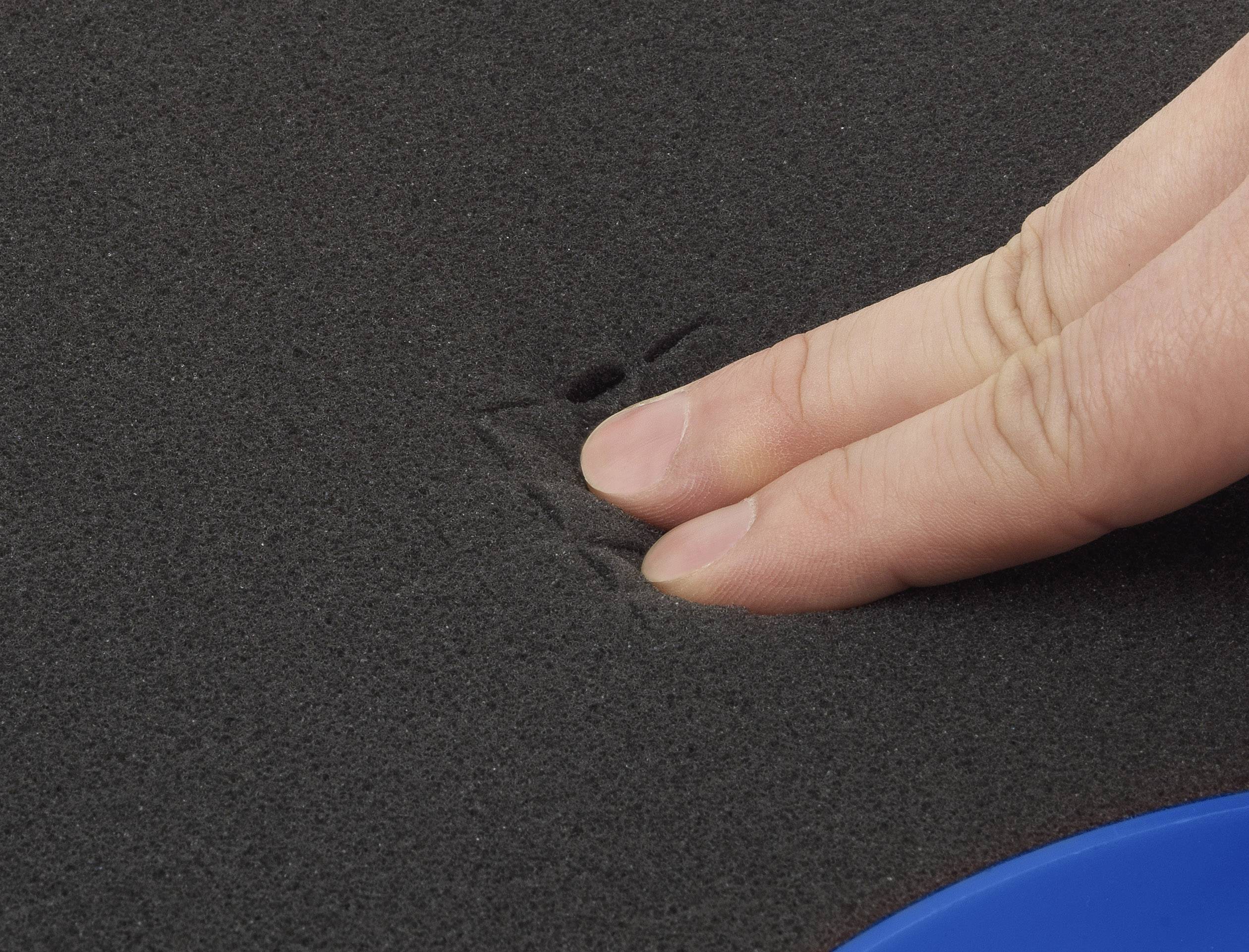 TOOLCRAFT TO-7565040 Universal Werkzeugkoffer unbestückt (L x B x H) 280 x 230 x 82mm