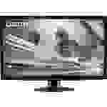 Dicota Blickschutzfolie 61,0cm (24") Bildformat: 16:9 D30132 Passend für Modell (Gerätetypen): Monitor