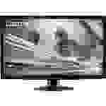 Dicota Blickschutzfolie 61,0cm (24") Bildformat: 16:10 D30319 Passend für Modell (Gerätetypen): Monitor