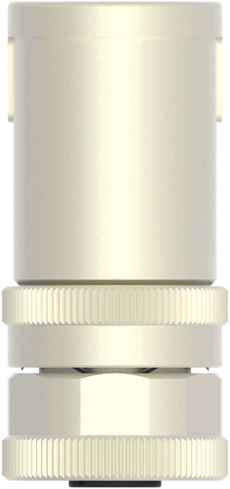 TE Connectivity T4112012021-000 Sensor-/Aktor-Steckverbinder, unkonfektioniert M12 Buchse, gewinkelt Polzahl Sensoren: 2 1St.