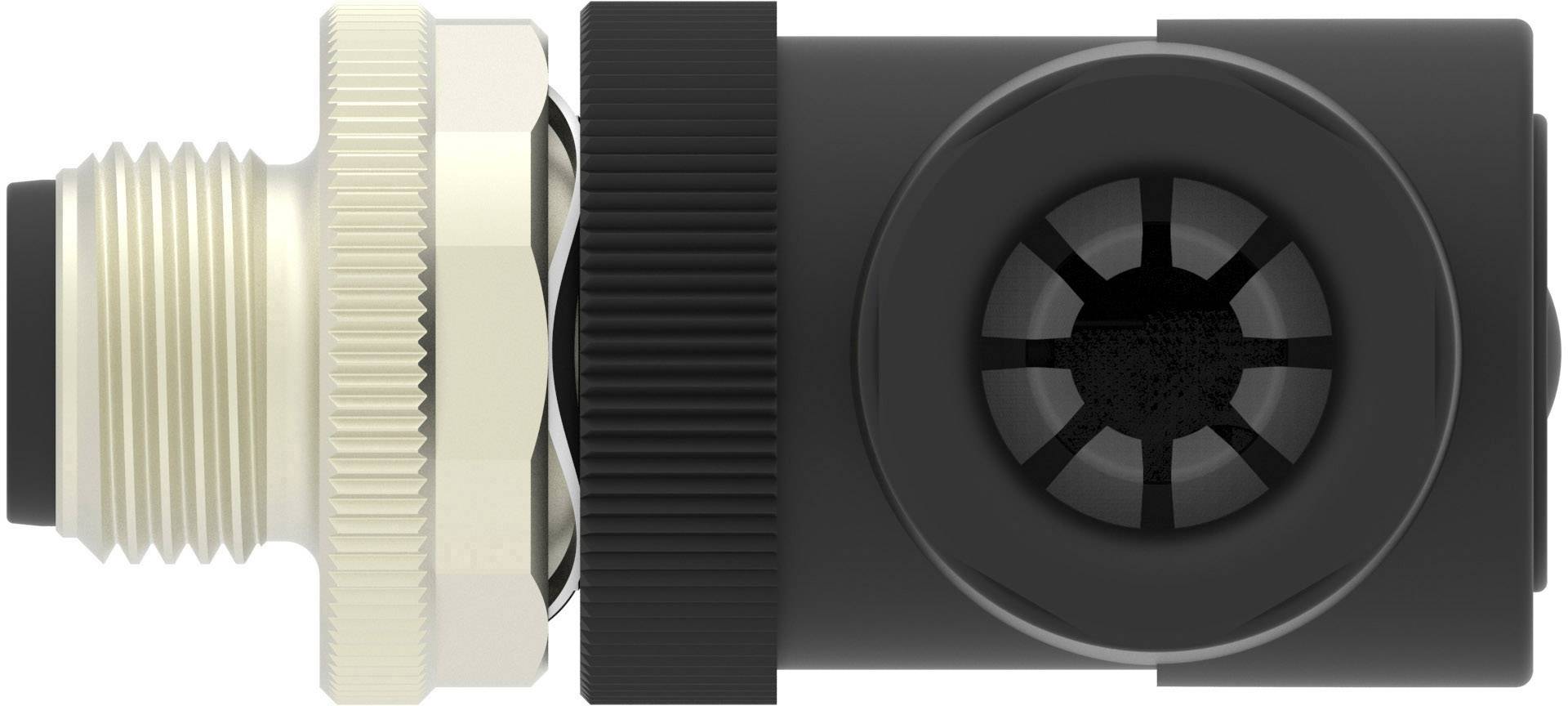 TE Connectivity T4113002041-000 Sensor-/Aktor-Steckverbinder, unkonfektioniert M12 Stecker, gewinkelt Polzahl Sensoren: 4 1St.