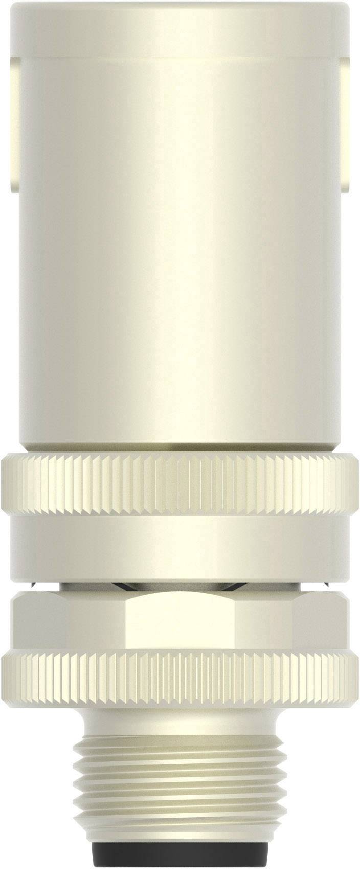 TE Connectivity T4113011031-000 Sensor-/Aktor-Steckverbinder, unkonfektioniert M12 Stecker, gewinkelt Polzahl Sensoren: 3 1St.