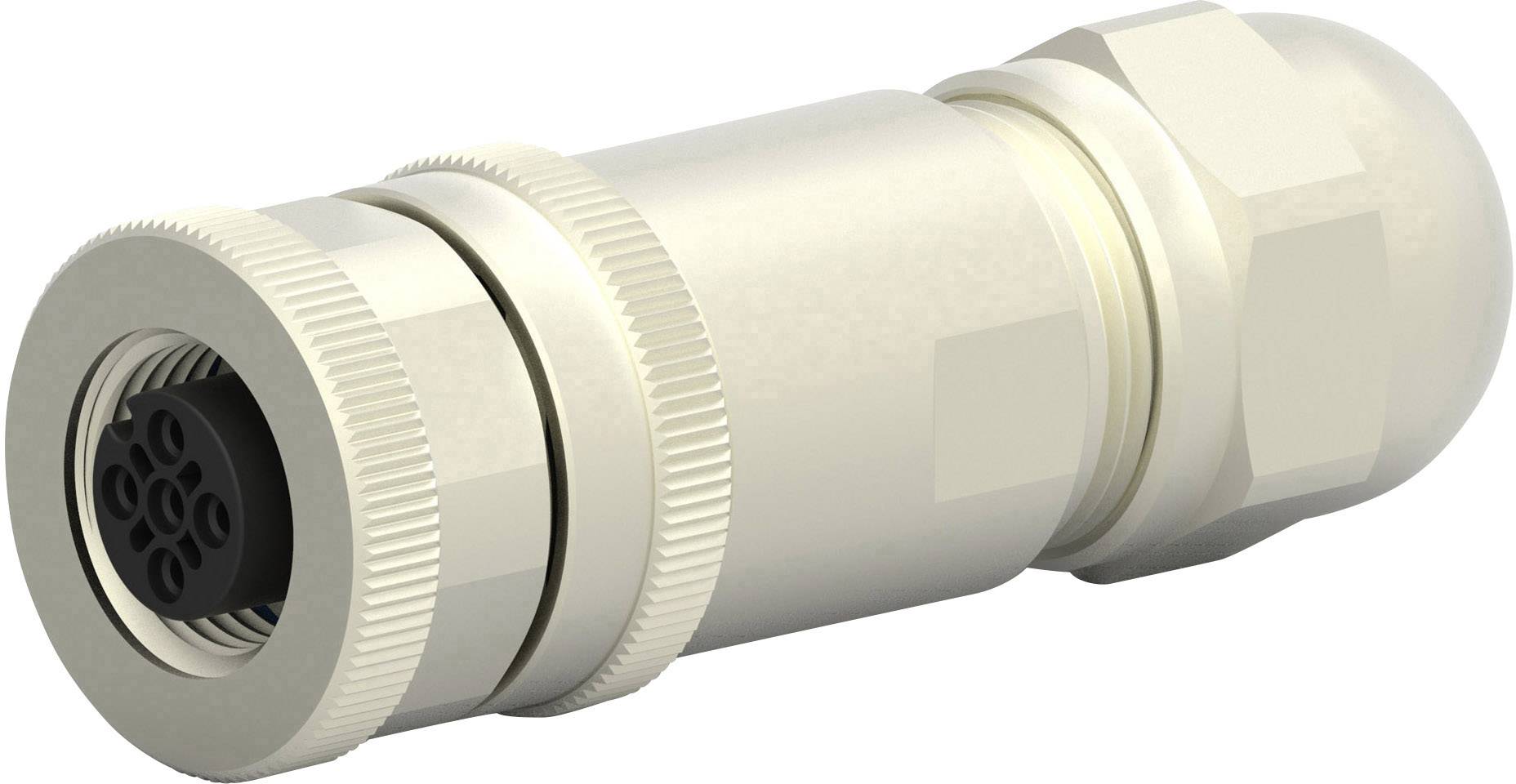 TE Connectivity T4110011031-000 Sensor-/Aktor-Steckverbinder, unkonfektioniert M12 Buchse, gerade Polzahl Sensoren: 3 1St.