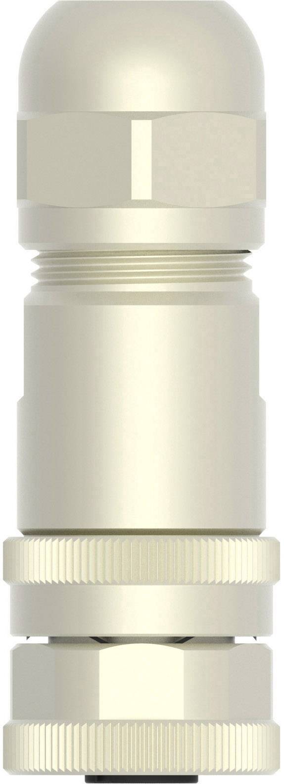 TE Connectivity T4110012021-000 Sensor-/Aktor-Steckverbinder, unkonfektioniert M12 Buchse, gerade Polzahl Sensoren: 2 1St.