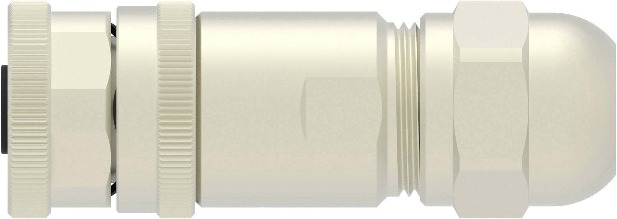 TE Connectivity T4110012021-000 Sensor-/Aktor-Steckverbinder, unkonfektioniert M12 Buchse, gerade Polzahl Sensoren: 2 1St.