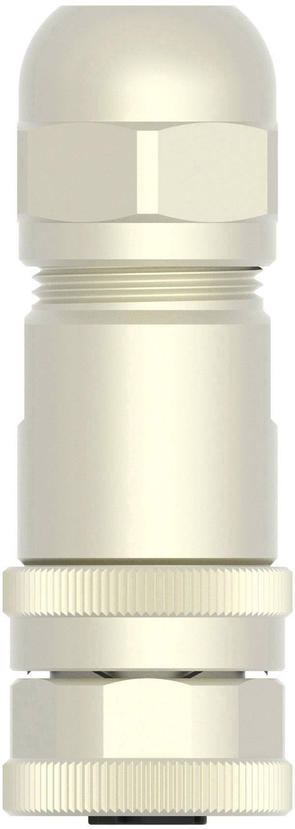 TE Connectivity T4110511041-000 Sensor-/Aktor-Steckverbinder, unkonfektioniert M12 Buchse, gerade Polzahl Sensoren: 4 1St.