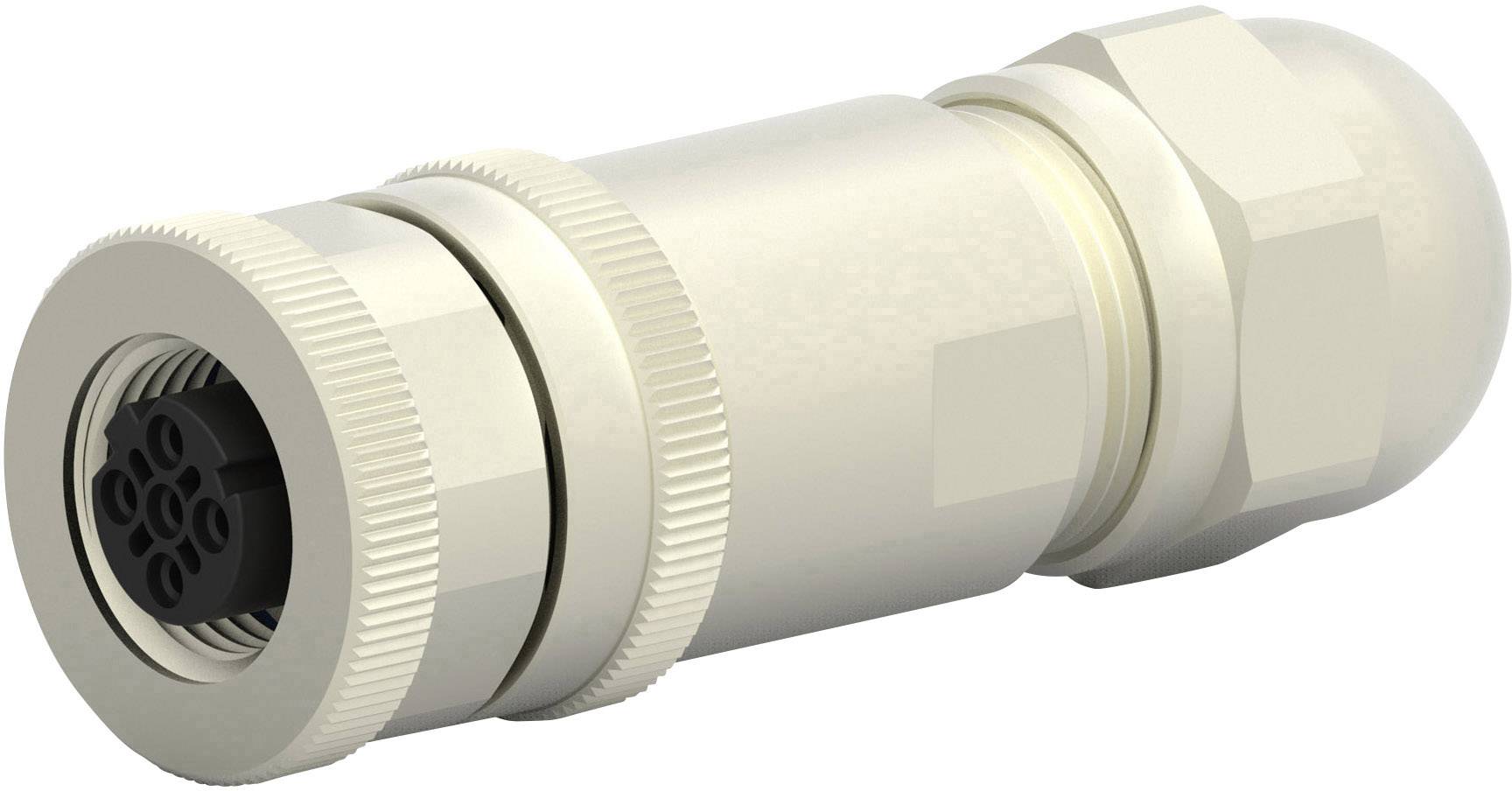 TE Connectivity T4110511041-000 Sensor-/Aktor-Steckverbinder, unkonfektioniert M12 Buchse, gerade Polzahl Sensoren: 4 1St.