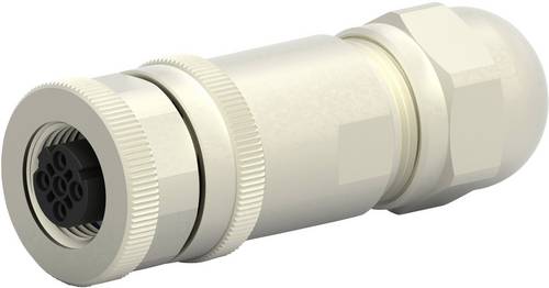 T4110511051-000 Sensor-/Aktor-Steckverbinder, unkonfektioniert M12 Buchse, gerade Po