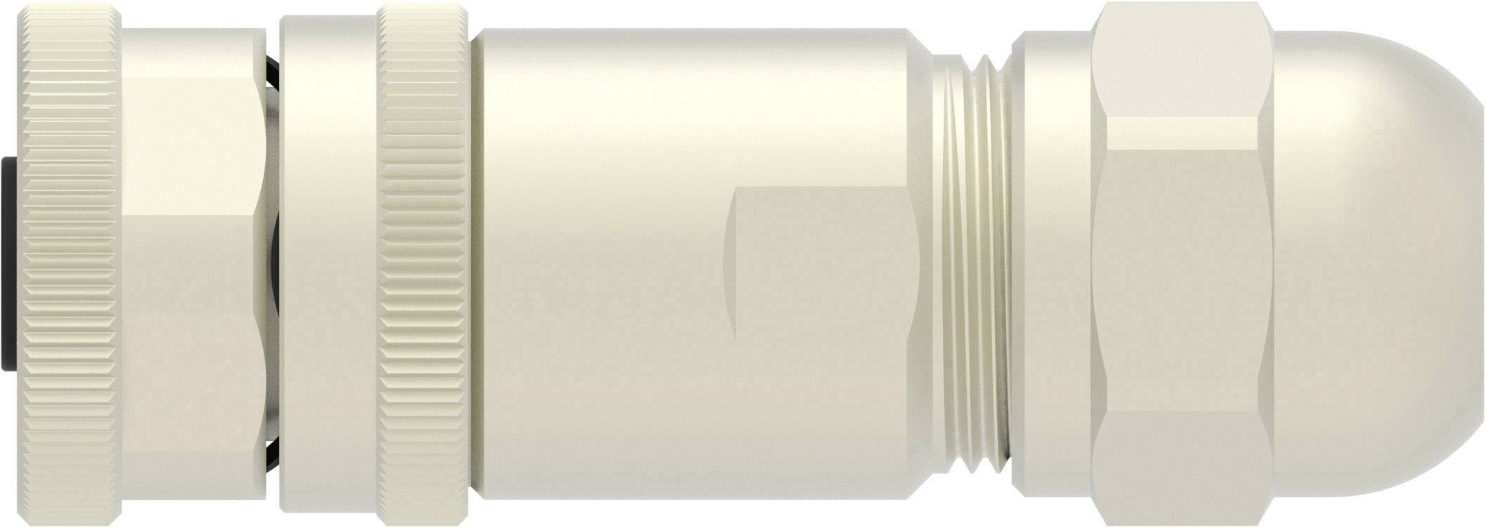 TE Connectivity T4110411041-000 Sensor-/Aktor-Steckverbinder, unkonfektioniert M12 Buchse, gerade Polzahl Sensoren: 4 1St.