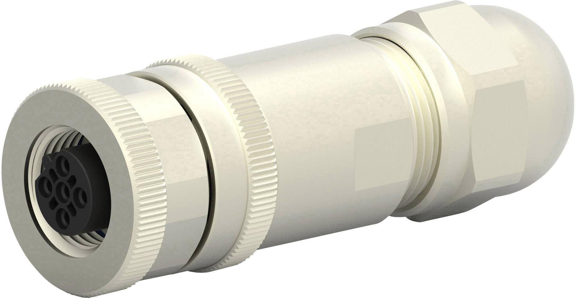 TE Connectivity T4110411041-000 Sensor-/Aktor-Steckverbinder, unkonfektioniert M12 Buchse, gerade P