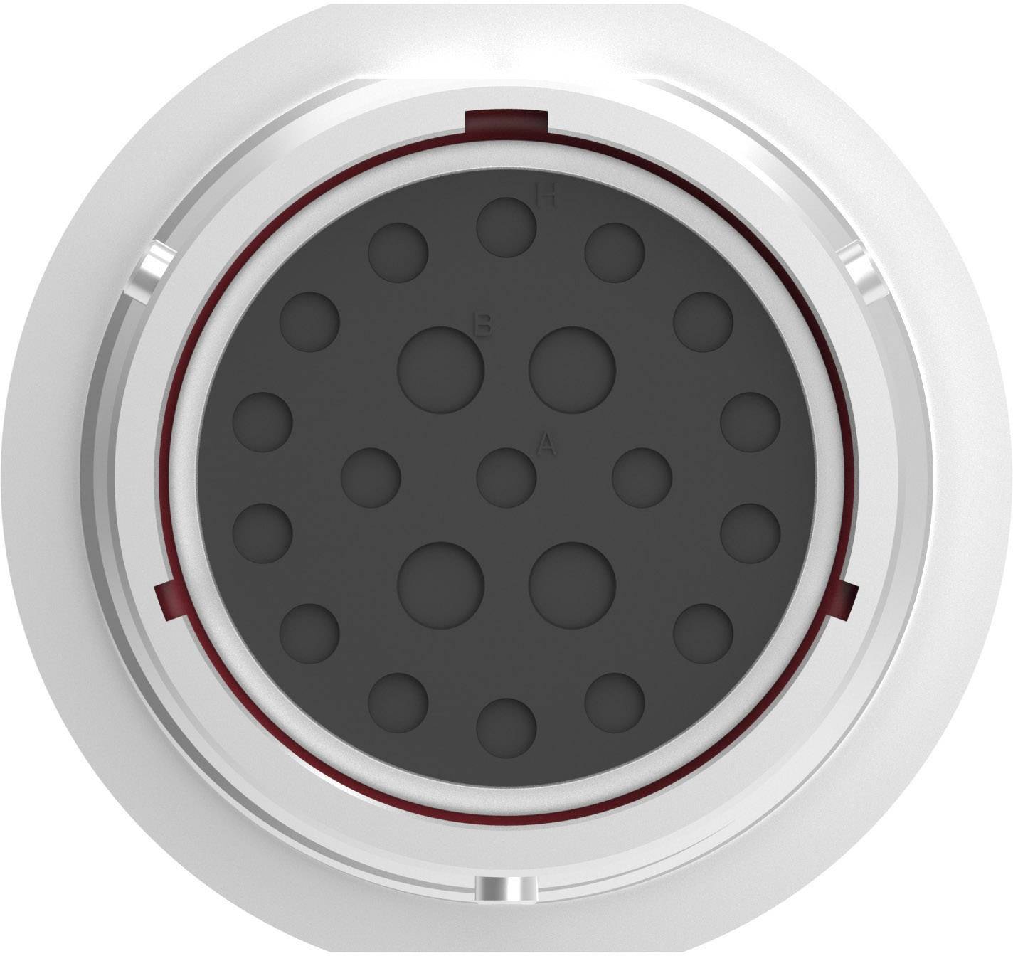 TE Connectivity HD34-24-21SN Rundstecker Flanschbuchse Gesamtpolzahl: 21 Serie (Rundsteckverbinder): HD30 1St.